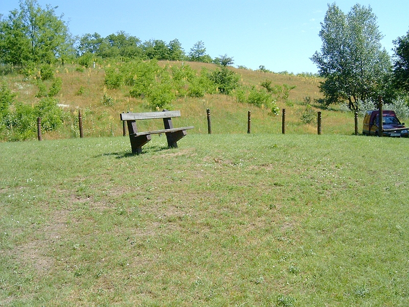 20100606 005.jpg